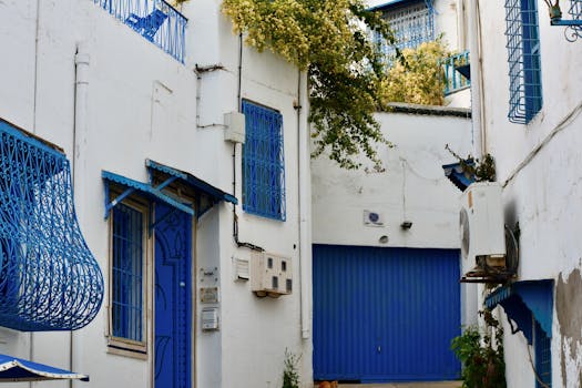Explore a picturesque alley in Sidi Bou Said, showcasing traditional blue and white architecture.