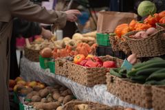 Fresh vegetables on display at a bustling Toronto farmers market, highlighting vibrant colors and local produce.