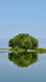 Image by FATİH
