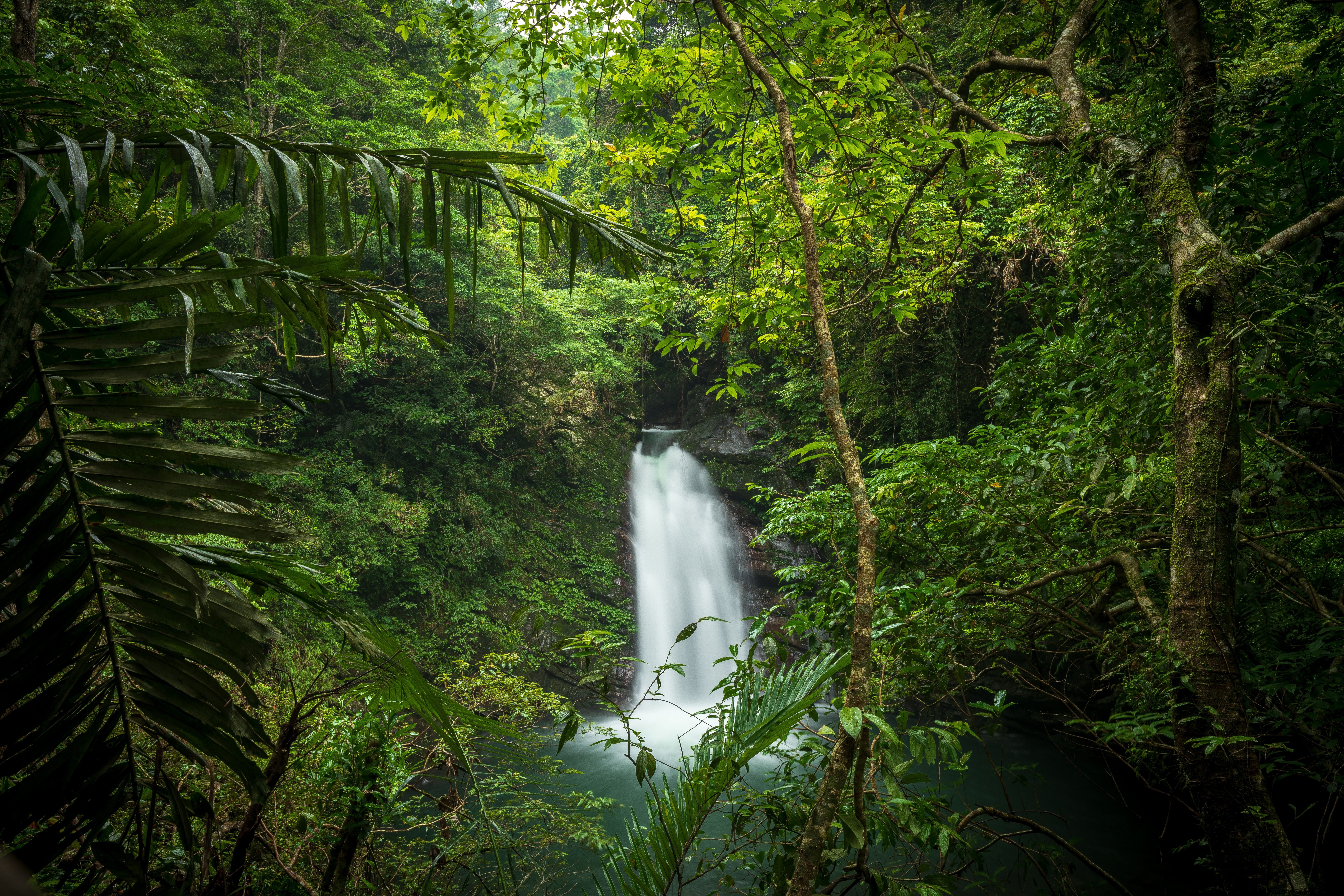 Pemandangan Air Terjun Rimba Yang Rimbun Dengan Pepohonan Hijau Yang ...