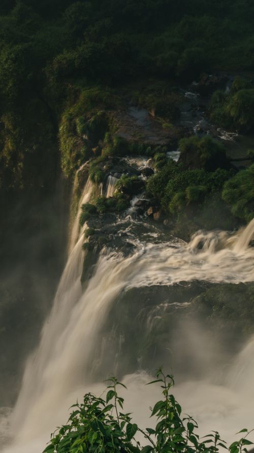 Free Stunning view of powerful waterfalls surrounded by lush greenery in Iguazú National Park, Argentina. Stock Photo