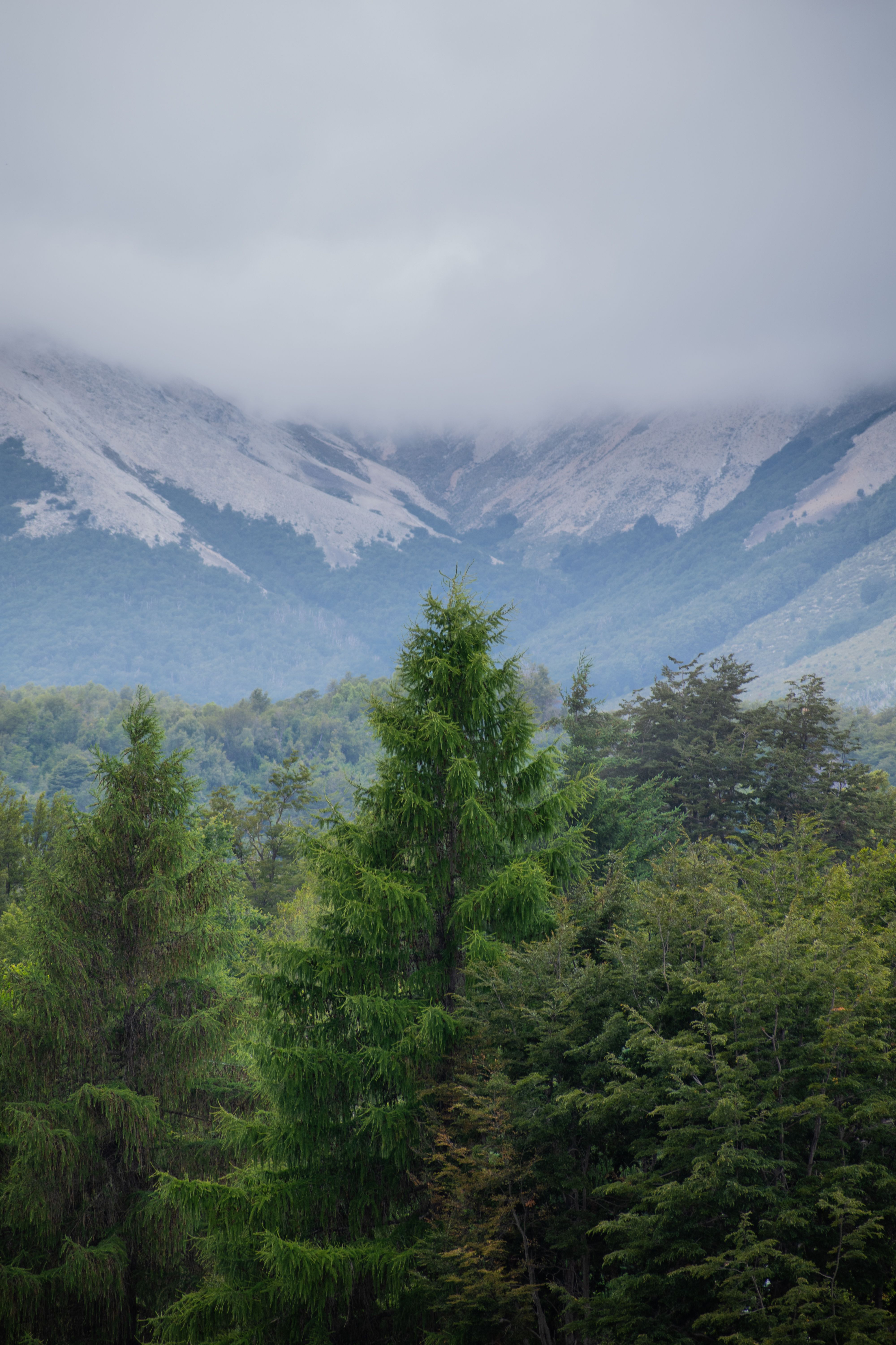 Captivating view of cloud-covered mountains and dense forest in Villa La Angostura, Argentina.