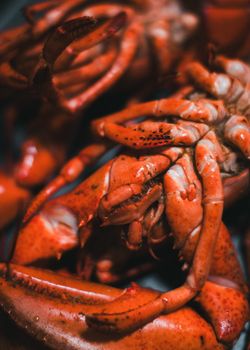 Lobster
