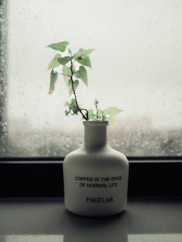 A minimalist vase with a plant sits on a window sill against a rainy backdrop.