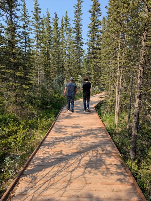Walk a Nature Trail things to do in baileys harbor