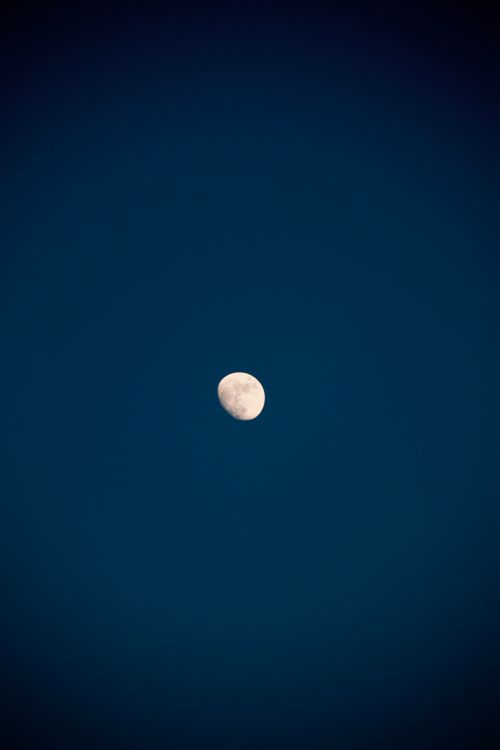 Free A stunning capture of the half moon against a deep blue night sky, showcasing celestial beauty. Stock Photo
