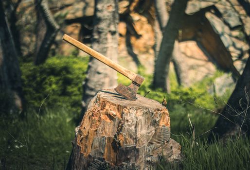 A close-up of an axe embedded in a tree stump in a lush forest setting.