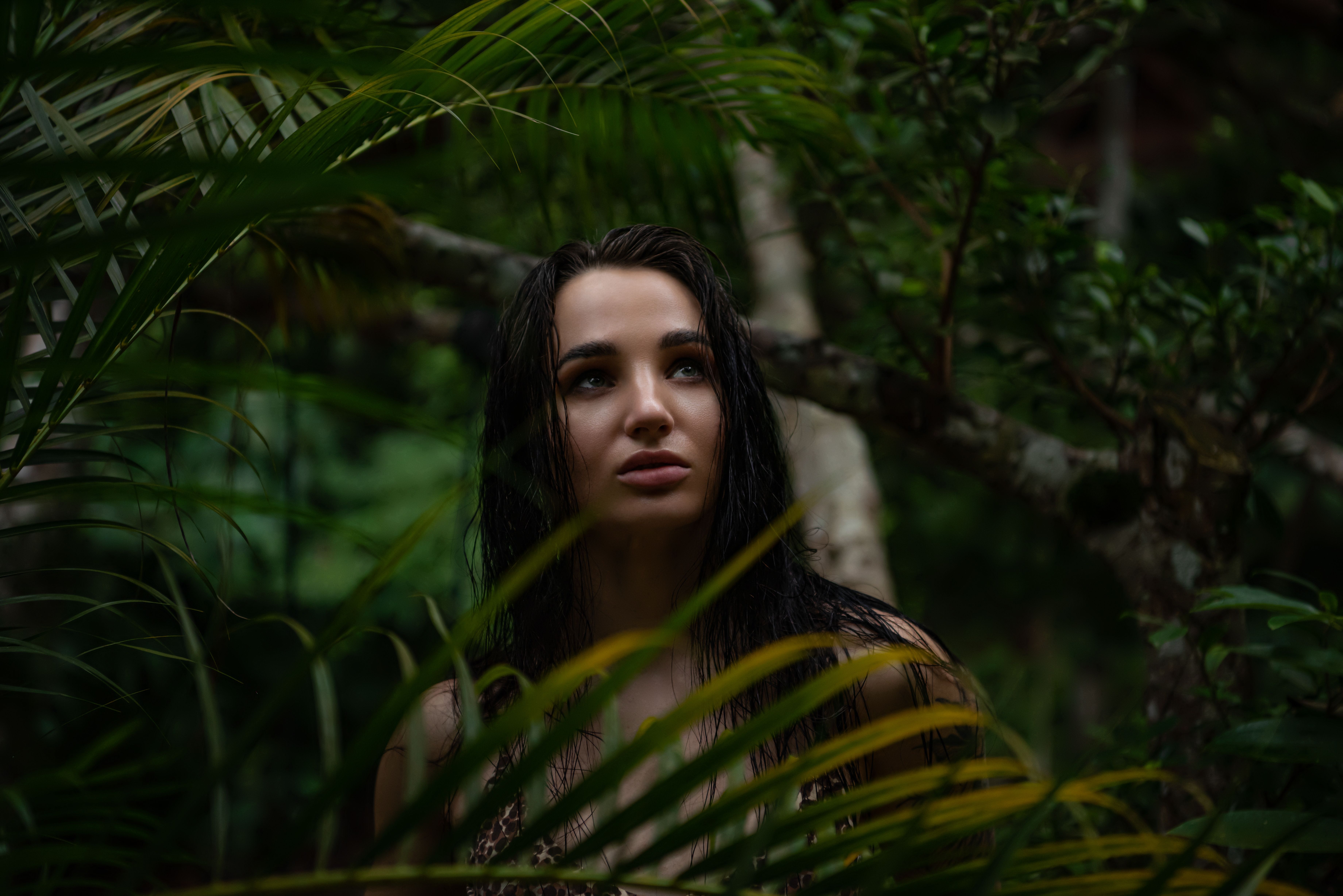 Final Thoughts: A Rainforest Adventure You Won't Forget