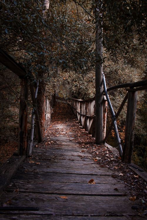 Free A wooden bridge surrounded by autumn foliage, creating a rustic and serene scene. Stock Photo