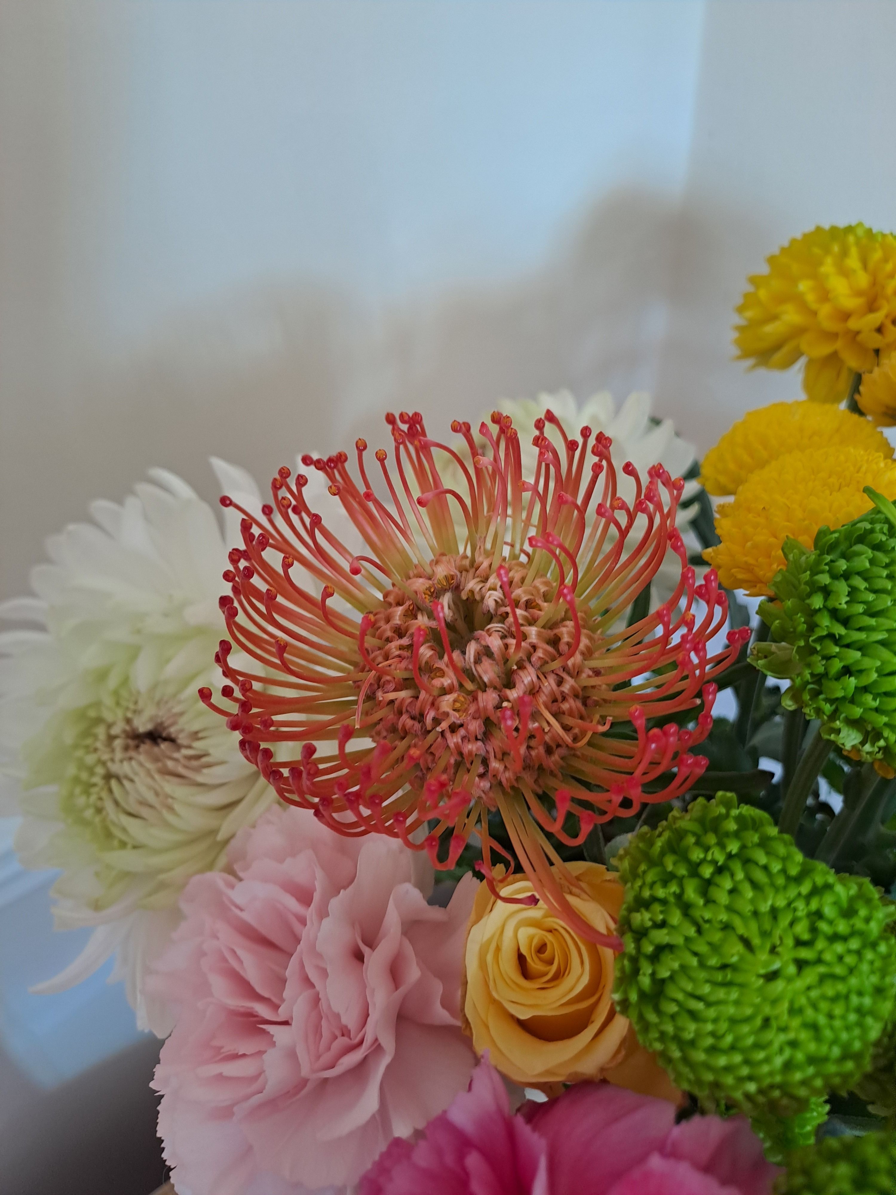 [ColoSach]-a-colorful-arrangement-featuring-protea,-roses,-chrysanthemums,-and-carnations.