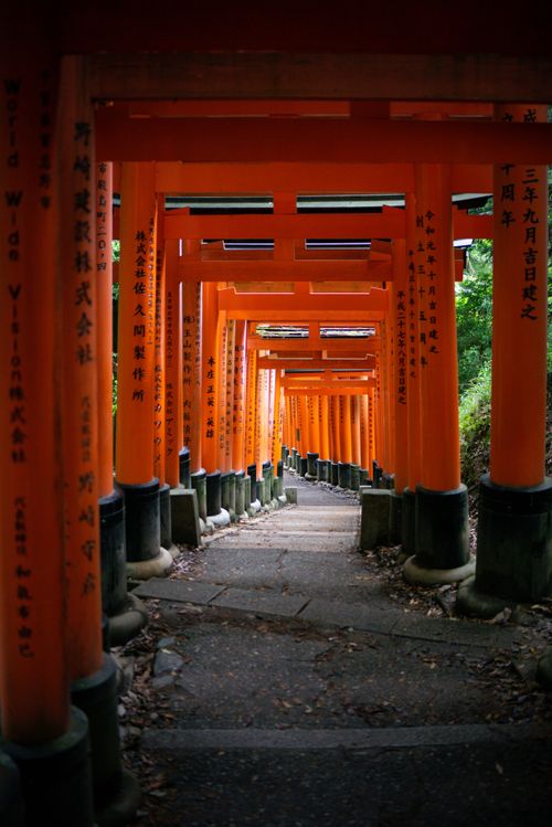 Free Endless Torii Gates – Fushimi Inari Shrine in Kyoto, Japan Stock Photo