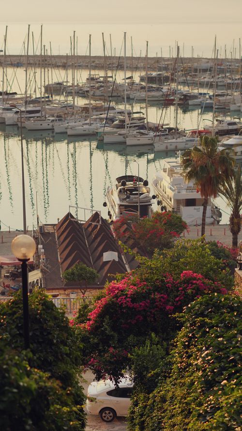 Free Beautiful marina with yachts at sunset, surrounded by lush greenery and blooming flowers. Stock Photo