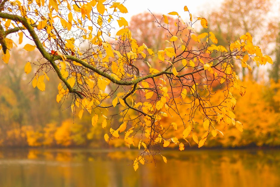 Contoh Kasus <b>Bullish Divergence</b> Contoh Kasus <b>Bullish Divergence</b>