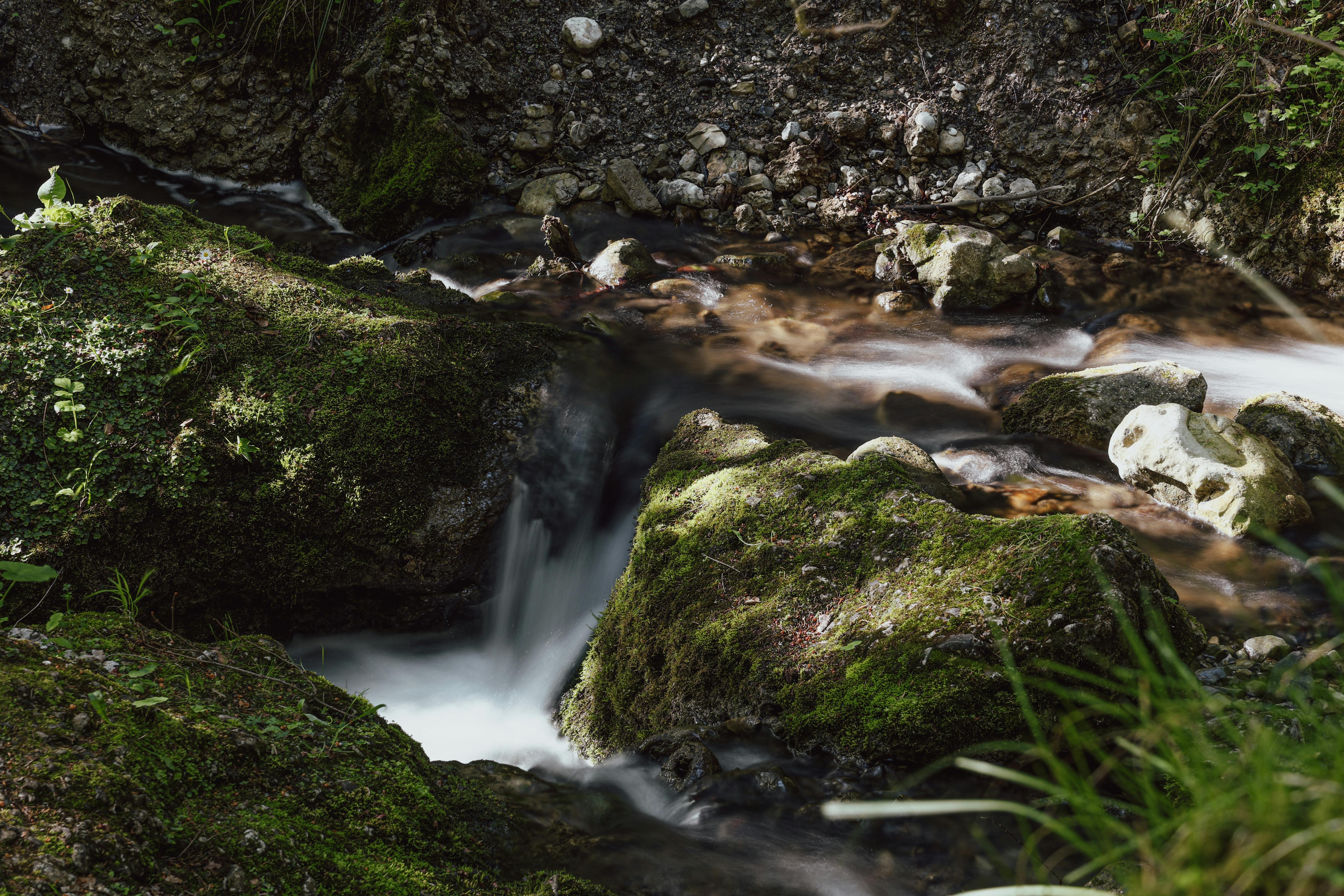 ## Current Landscape of API Development