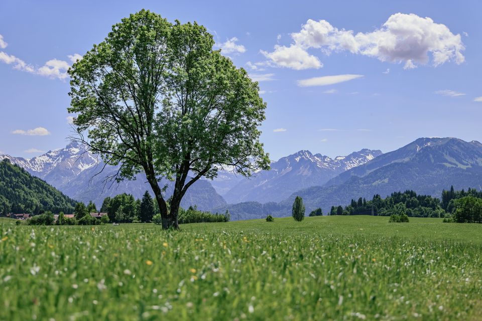 in Oberstdorf