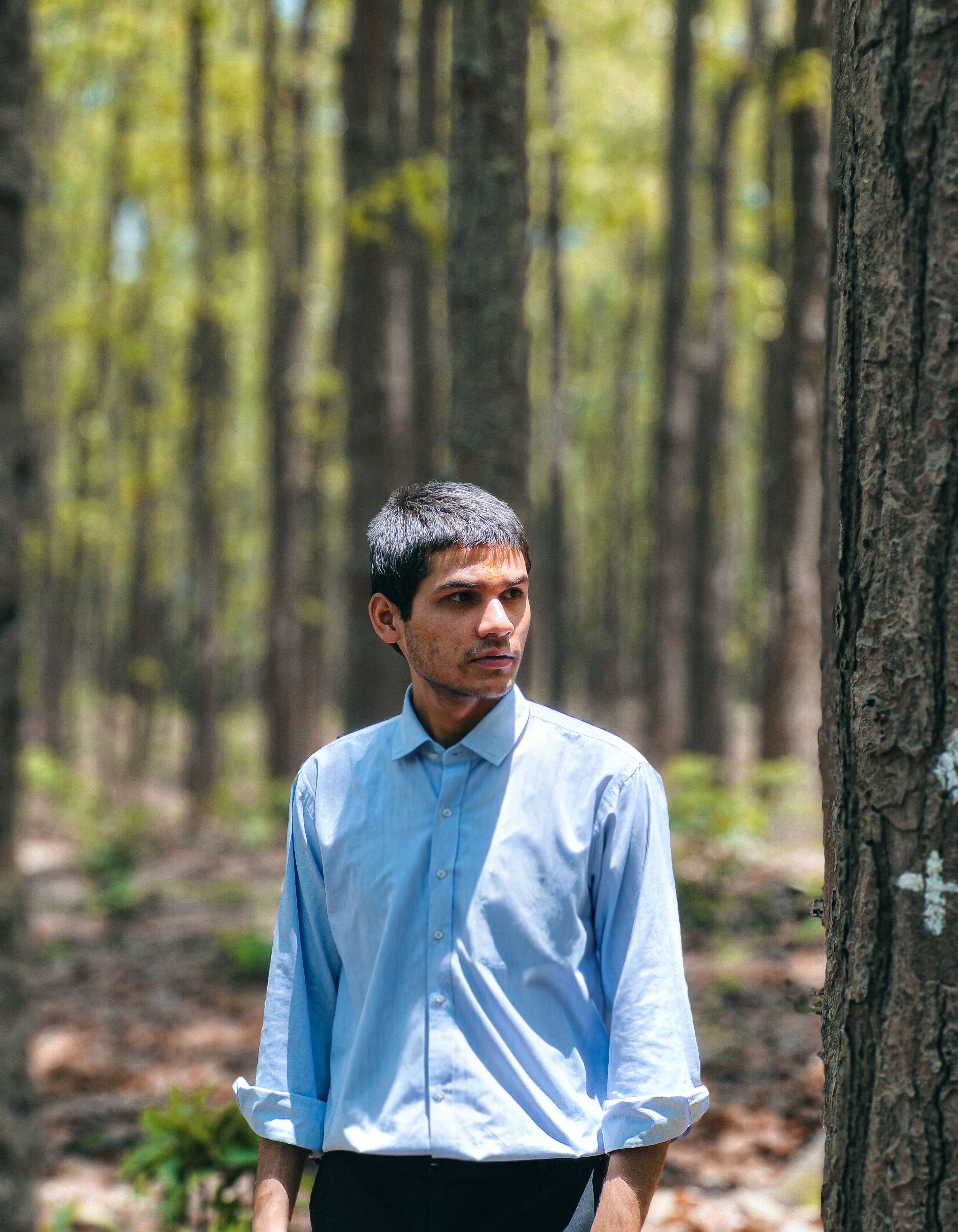 A young man stands in a sunlit forest, wearing a blue shirt, looking thoughtful.