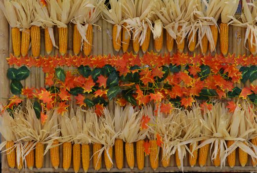 Festive autumn display featuring corn cobs and maple leaves for seasonal decor.