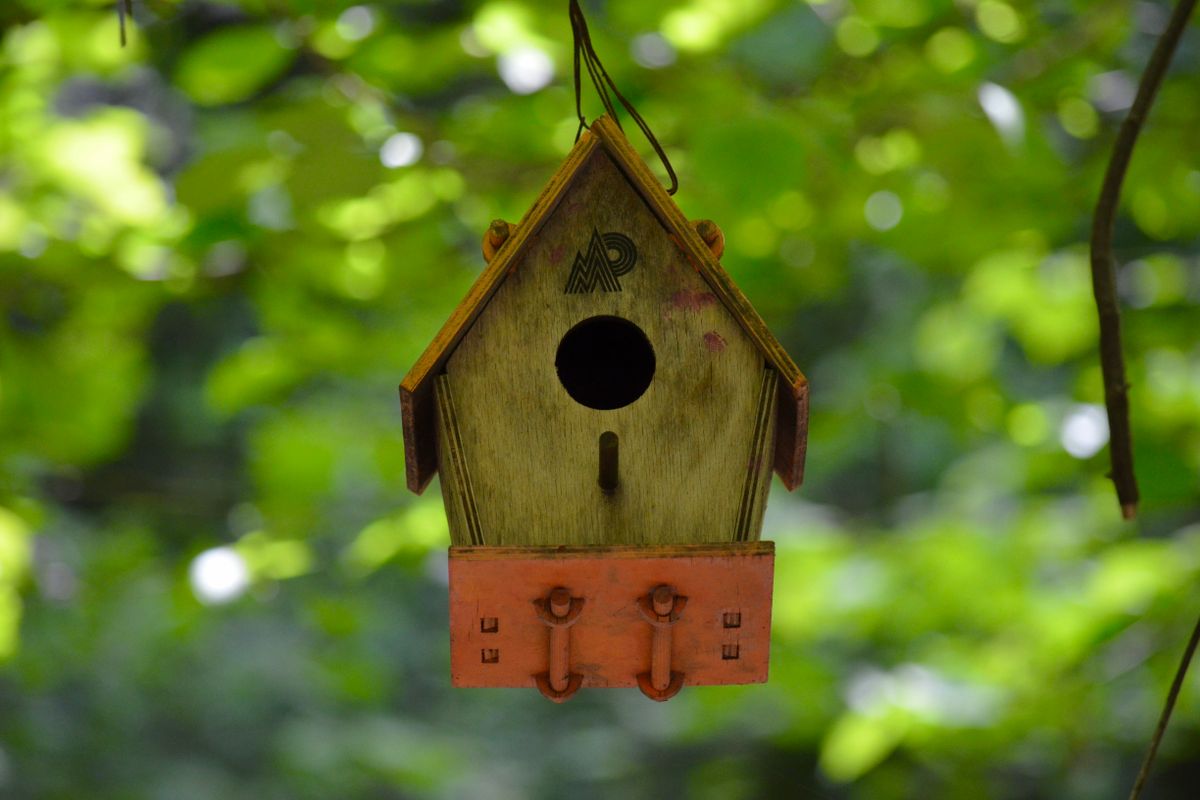 DIY-Vogelhaus bauen: Einfache Anleitung für Anfänger — Material-Übersicht