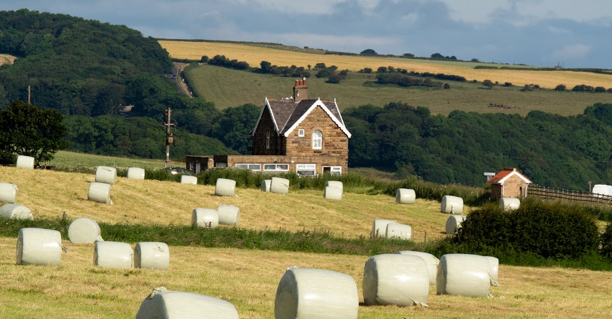 全國夏播糧食已完成近五成 豐收在望