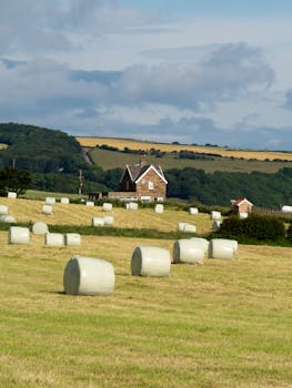Idyllic view of hay bales on a farm in Whitby, England, with lush greenery and hills.