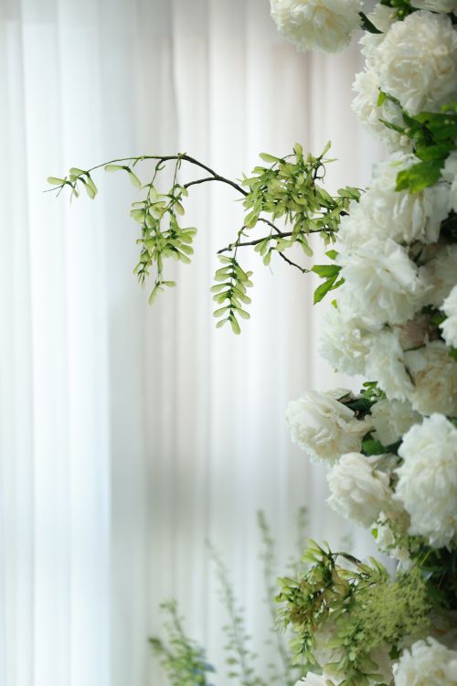 Free Delicate white flowers and greenery beautifully arranged against soft light background. Stock Photo