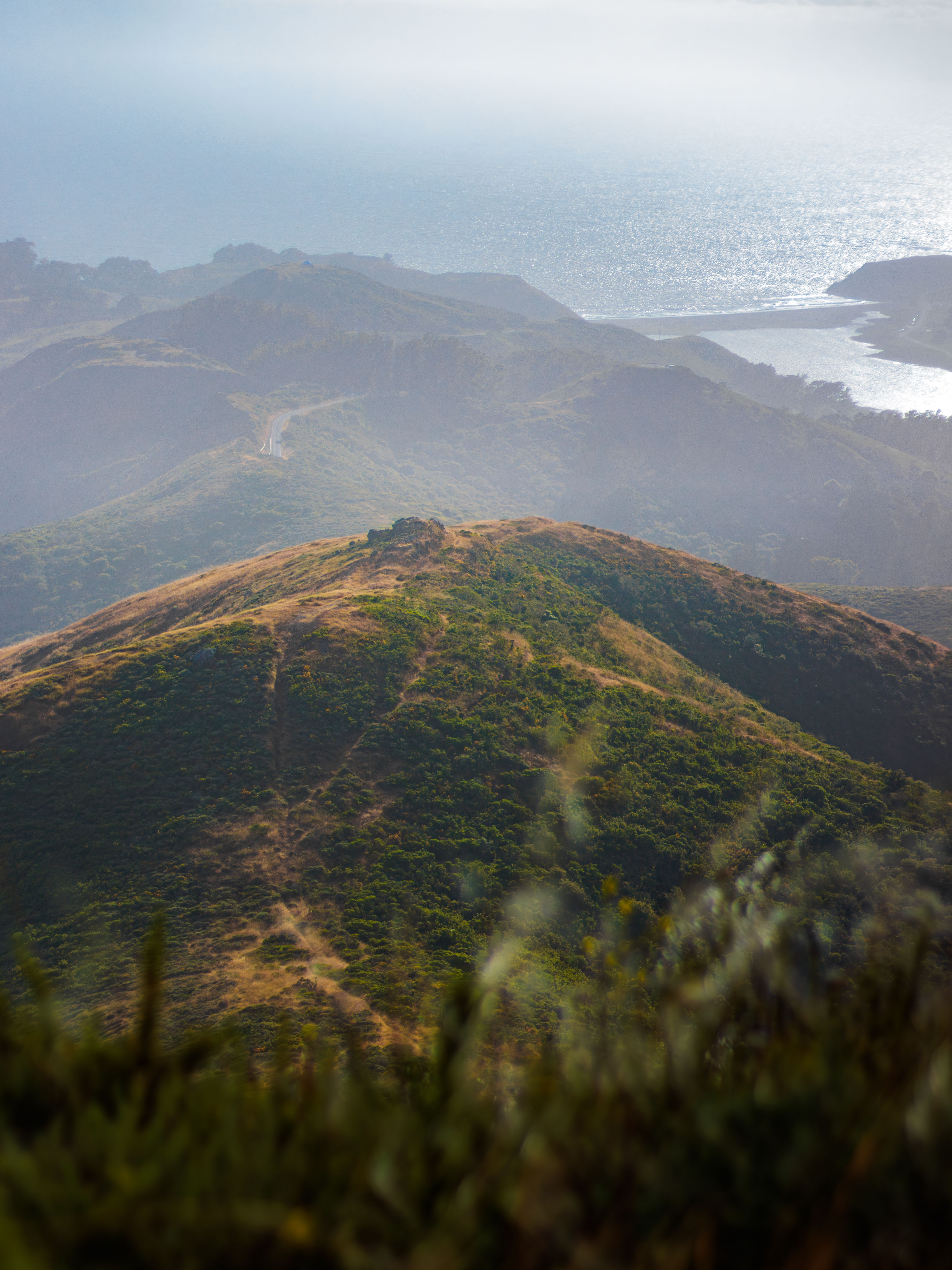Hawk Hill, Marin Headlands