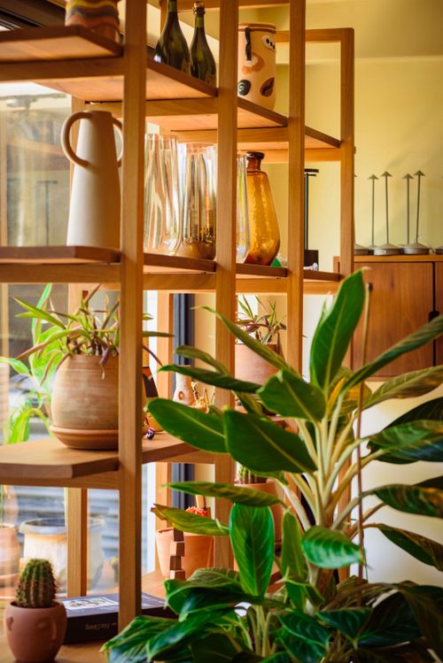 Free Warm interior featuring wooden shelves with decorative items and lush green plants, creating a cozy ambiance. Stock Photo