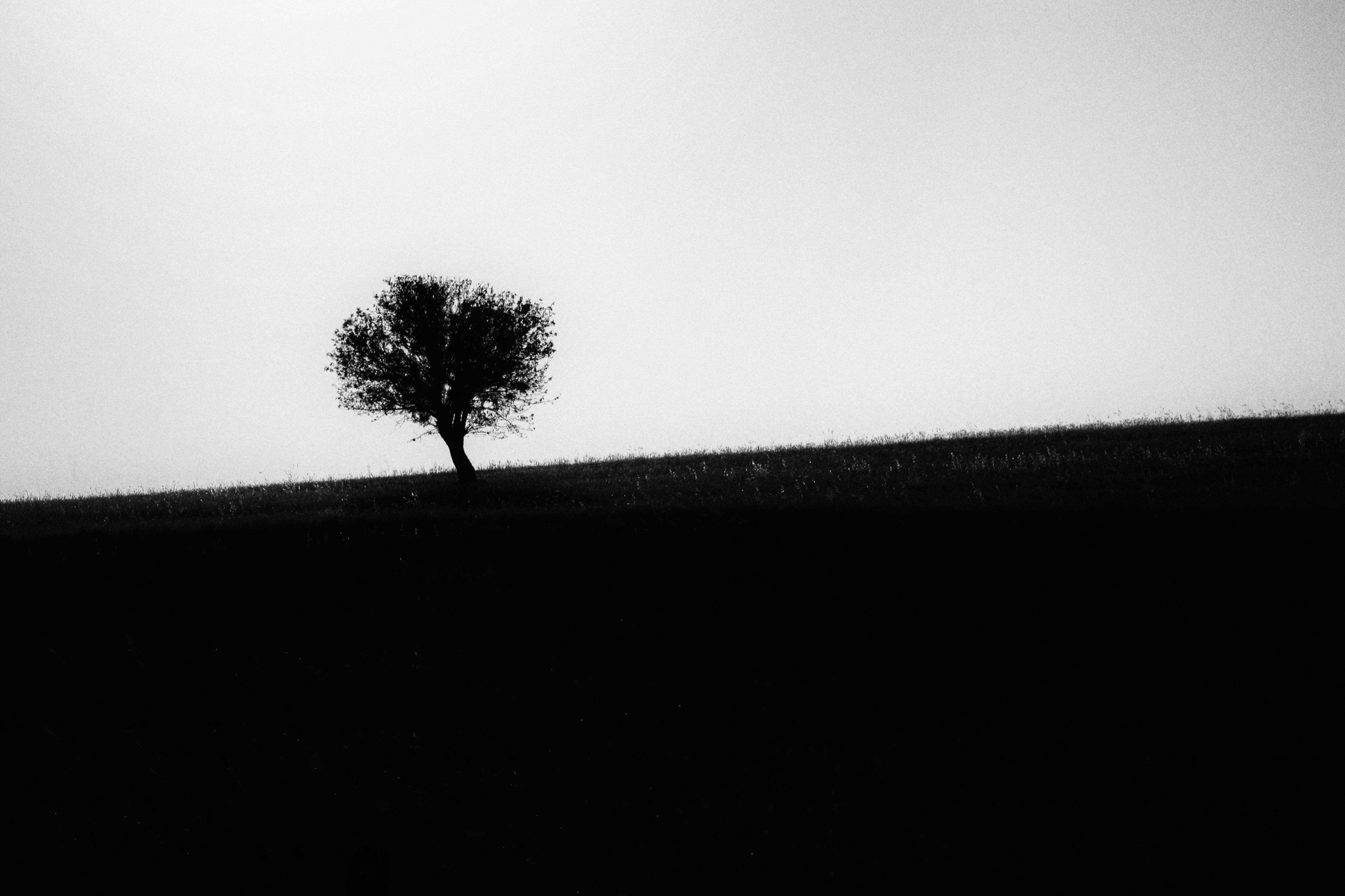 Breaking the Cycle: Understanding the Link Between Porn and Loneliness