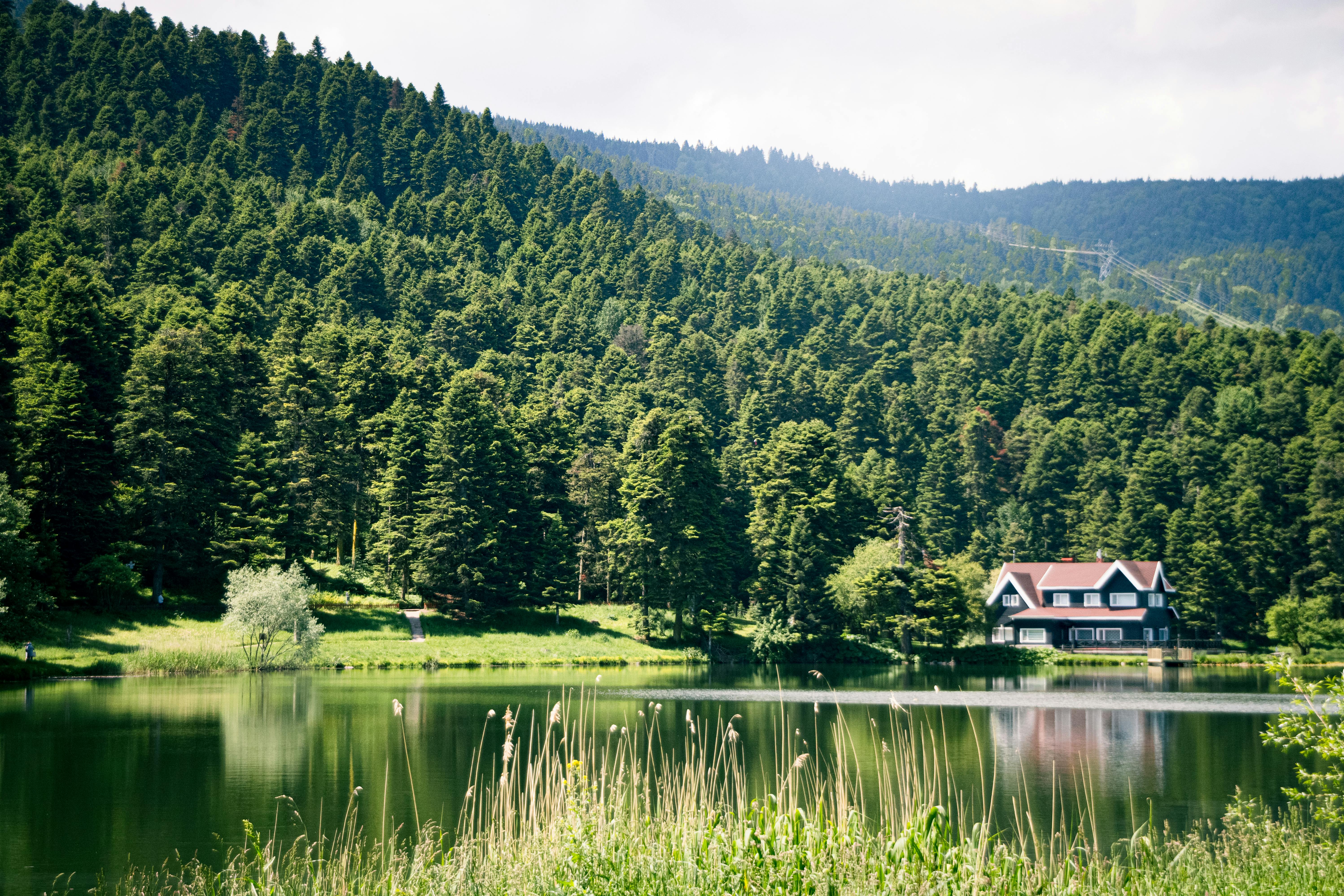 A tranquil lake scene with a house surrounded by lush evergreen forests under a bright sky.