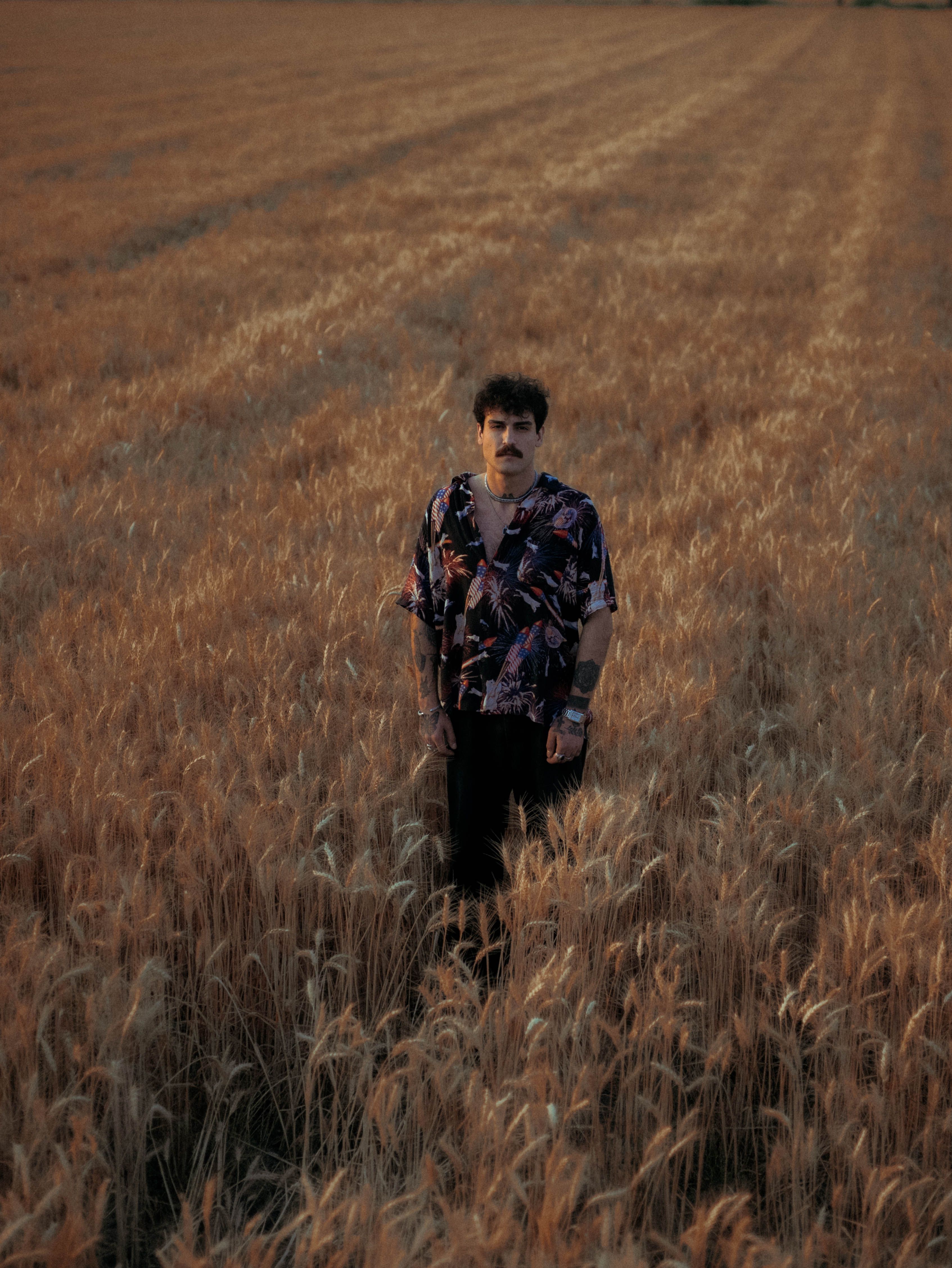 A man stands in a golden wheat field, capturing the essence of rural tranquility and nature's beauty at sunset.