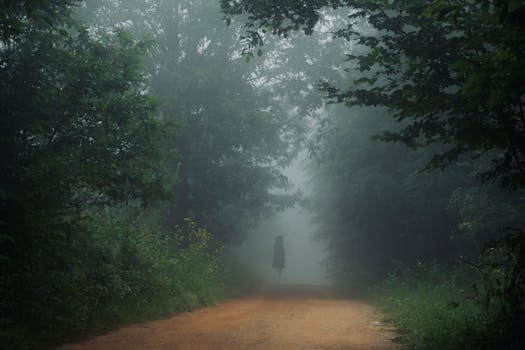 Image by İlayda Mutlu