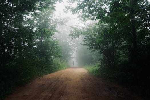 Image by İlayda Mutlu