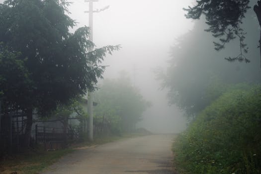 Image by İlayda Mutlu