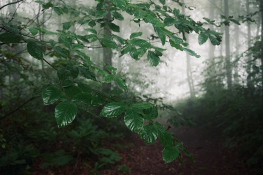 Image by İlayda Mutlu