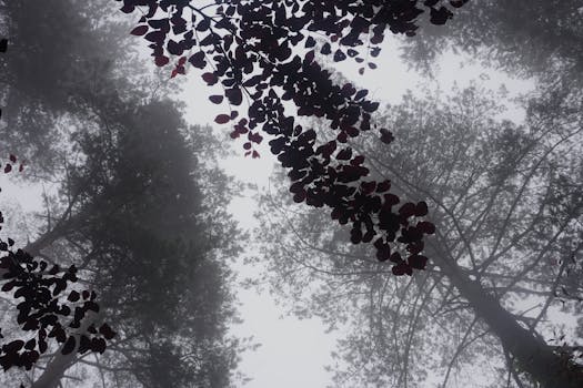 Image by İlayda Mutlu