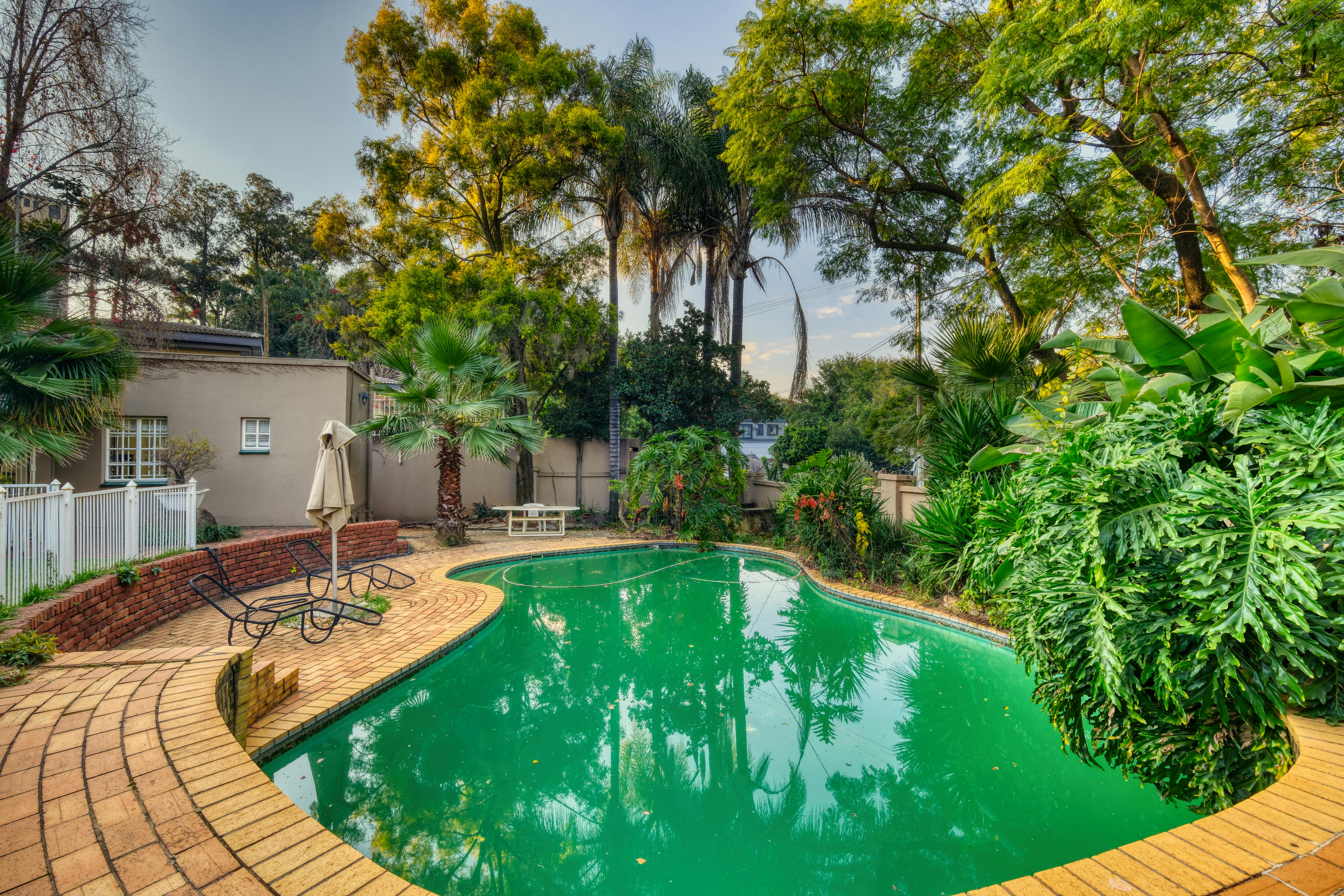 Explore a serene backyard with a pool and exotic plants in Pretoria, South Africa.