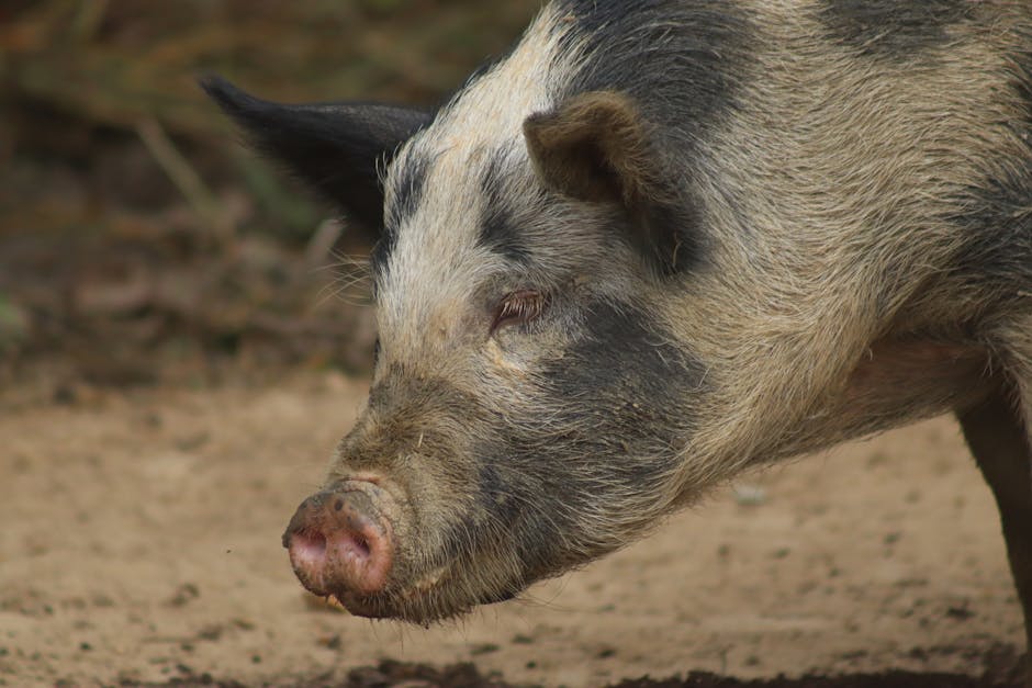 SNS 관련 이미지