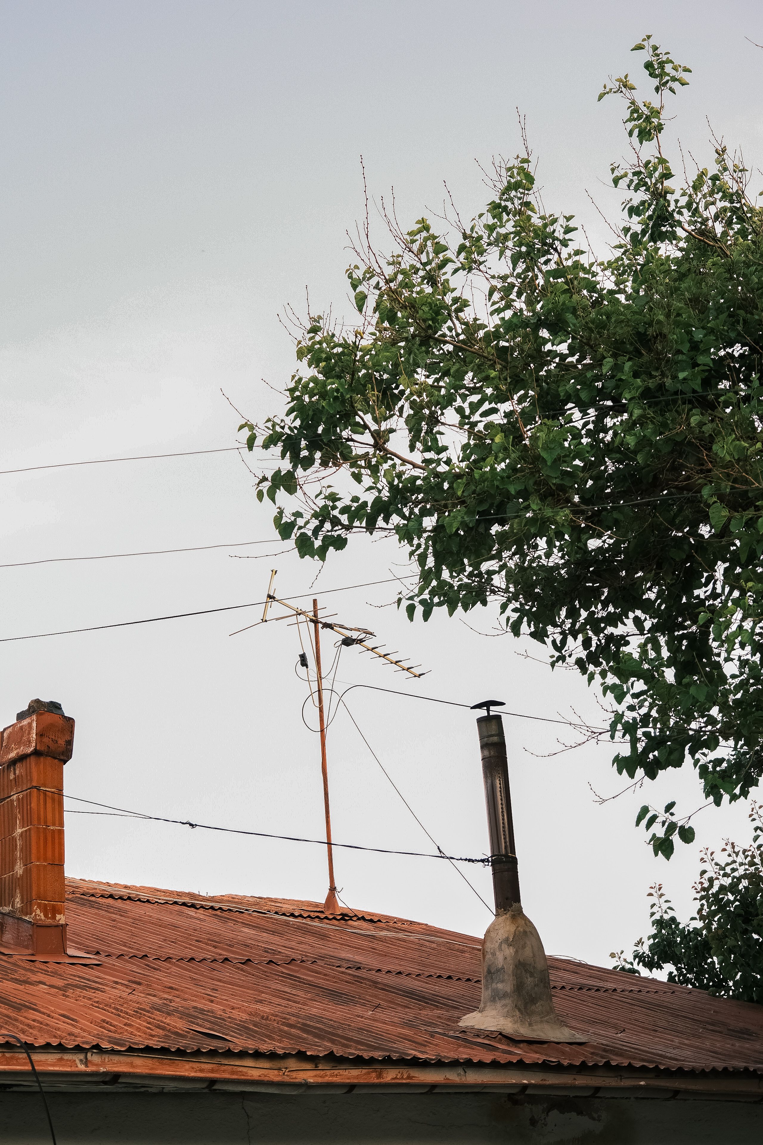 Rooftop with Red Brick Chimneys · Free Stock Photo