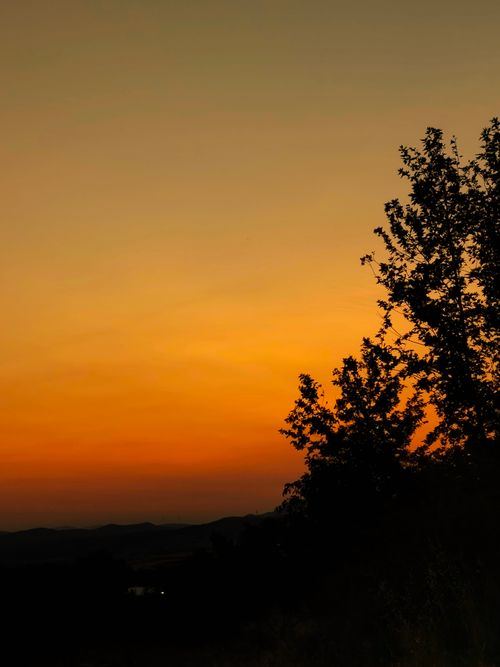 Free A stunning sunset with tree silhouettes, creating a serene and colorful landscape. Stock Photo