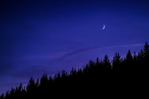 A serene silhouette of a forest beneath a crescent moonlighting up the night sky.