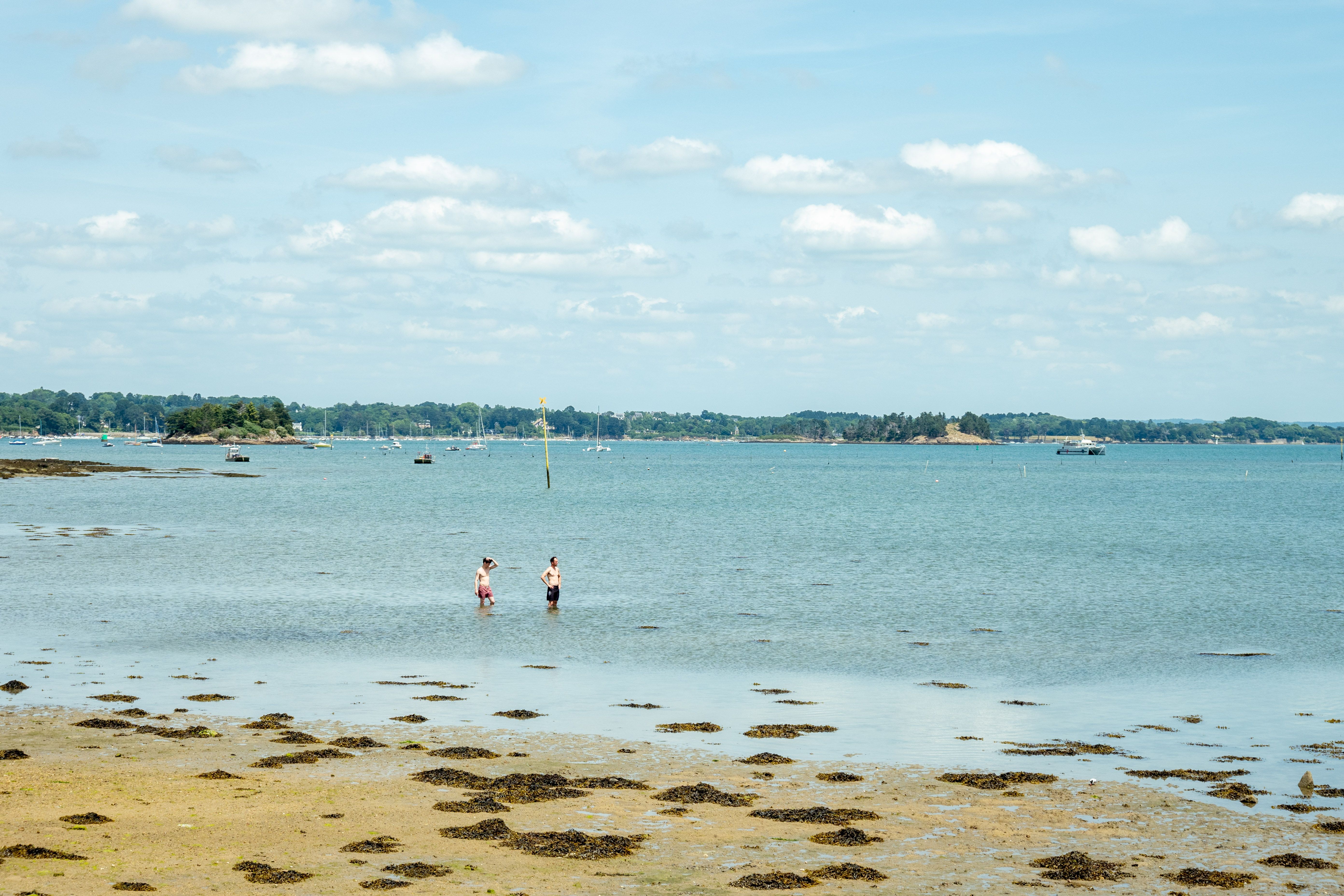 Golfe du Morbihan