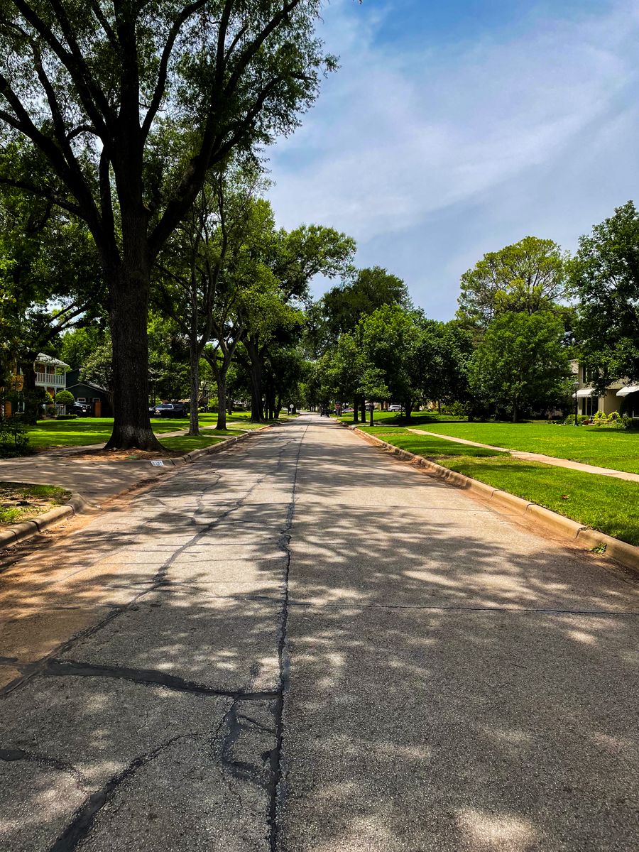 Tree-lined street in Garden Oaks and Oak Forest
