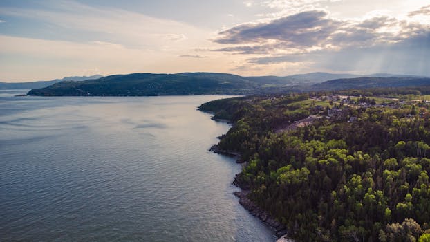 Splendida ripresa aerea della lussureggiante foresta e della tranquilla costa di La Malbaie nel Quebec, Canada.