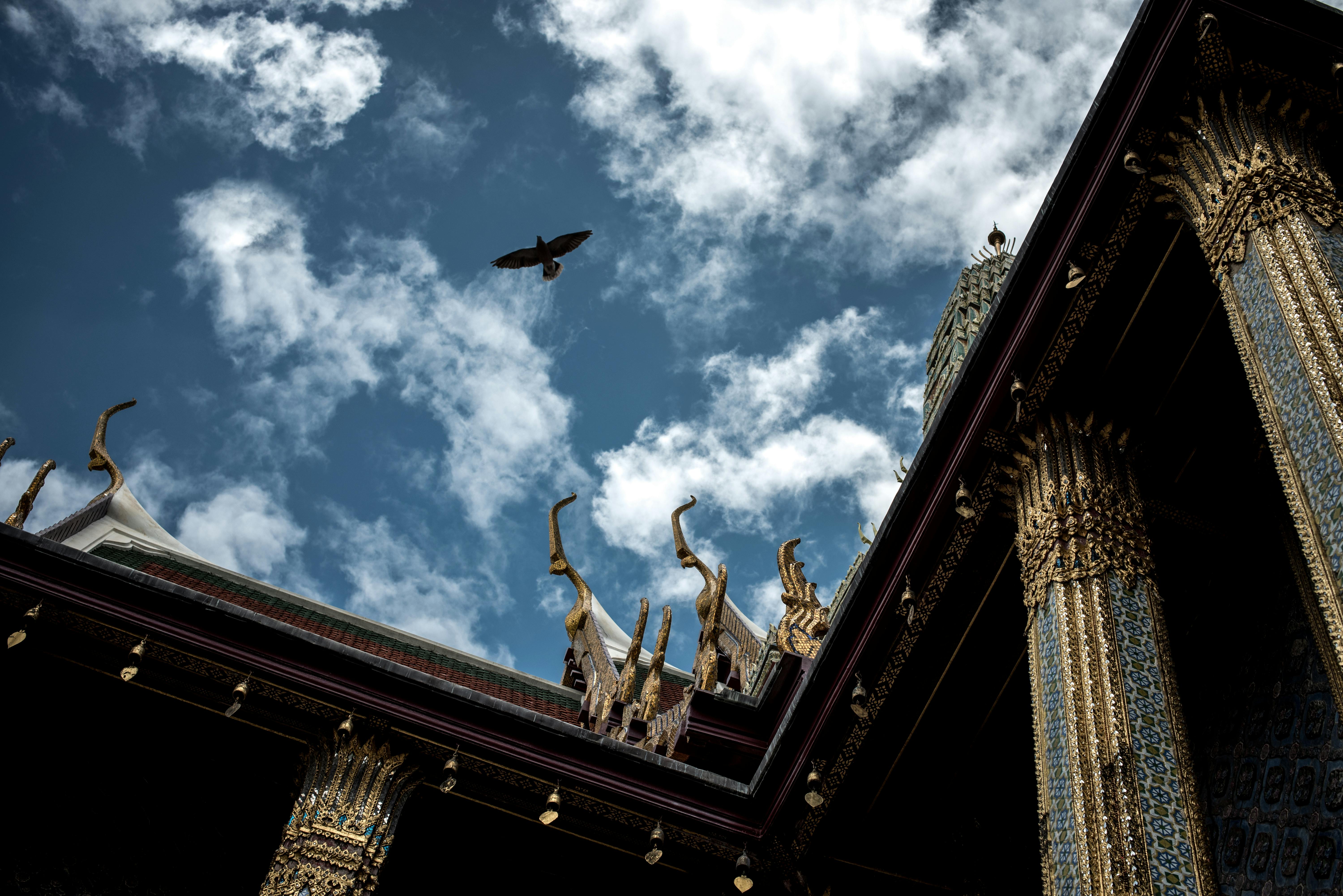 https://www.pexels.com/photo/majestic-thai-temple-eaves-against-blue-sky-32481936/