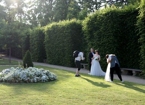 Bride and groom pose for photographers in a lush garden during sunny day.