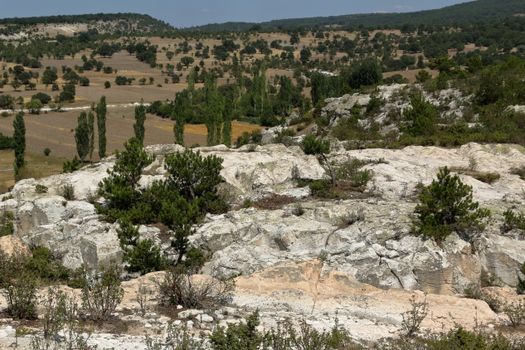 Aerial view of rocky terrain with sparse vegetation and distant farmland.