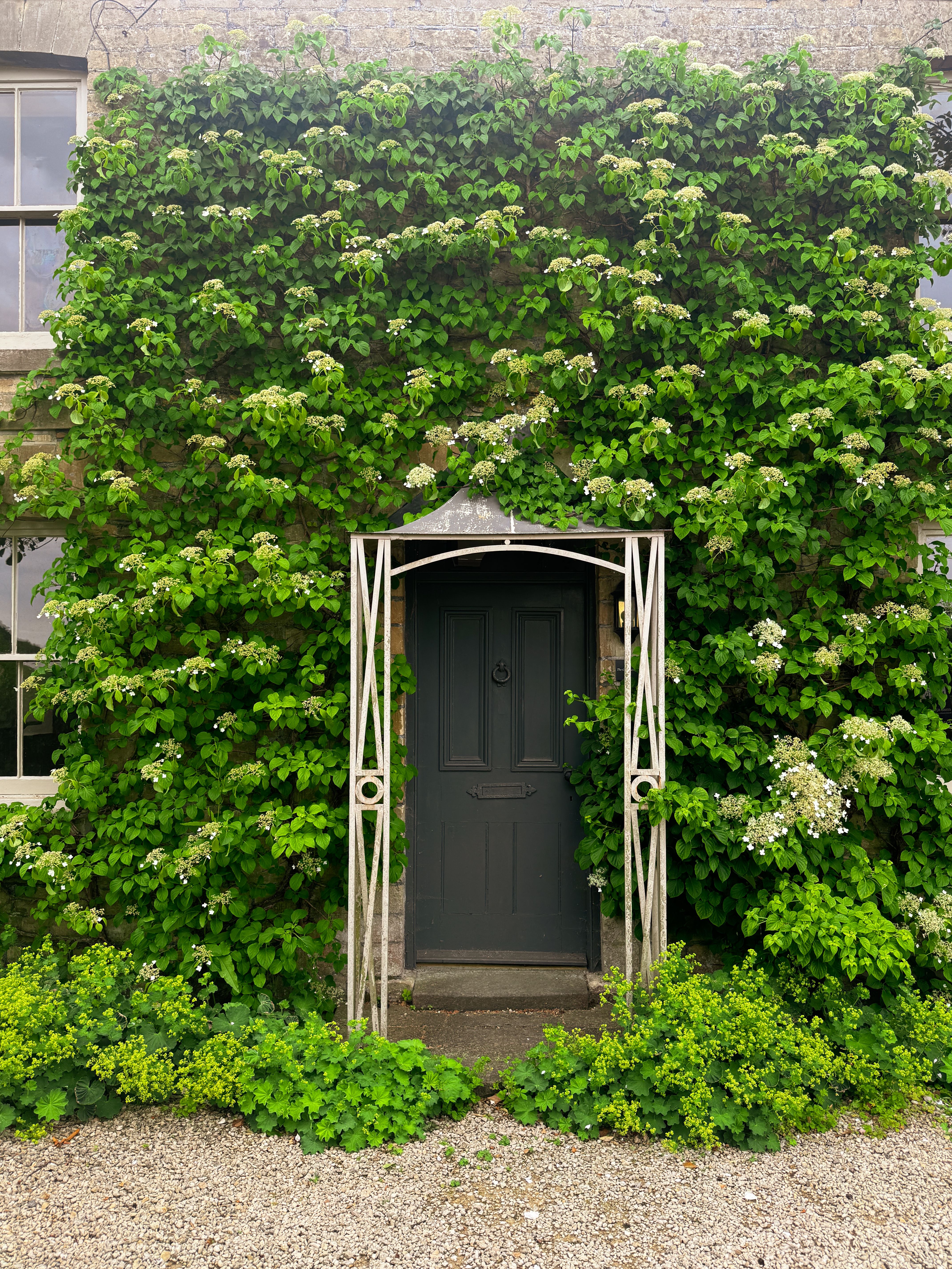 Charming Ivy-Covered Entrance in Malmesbury · Free Stock Photo