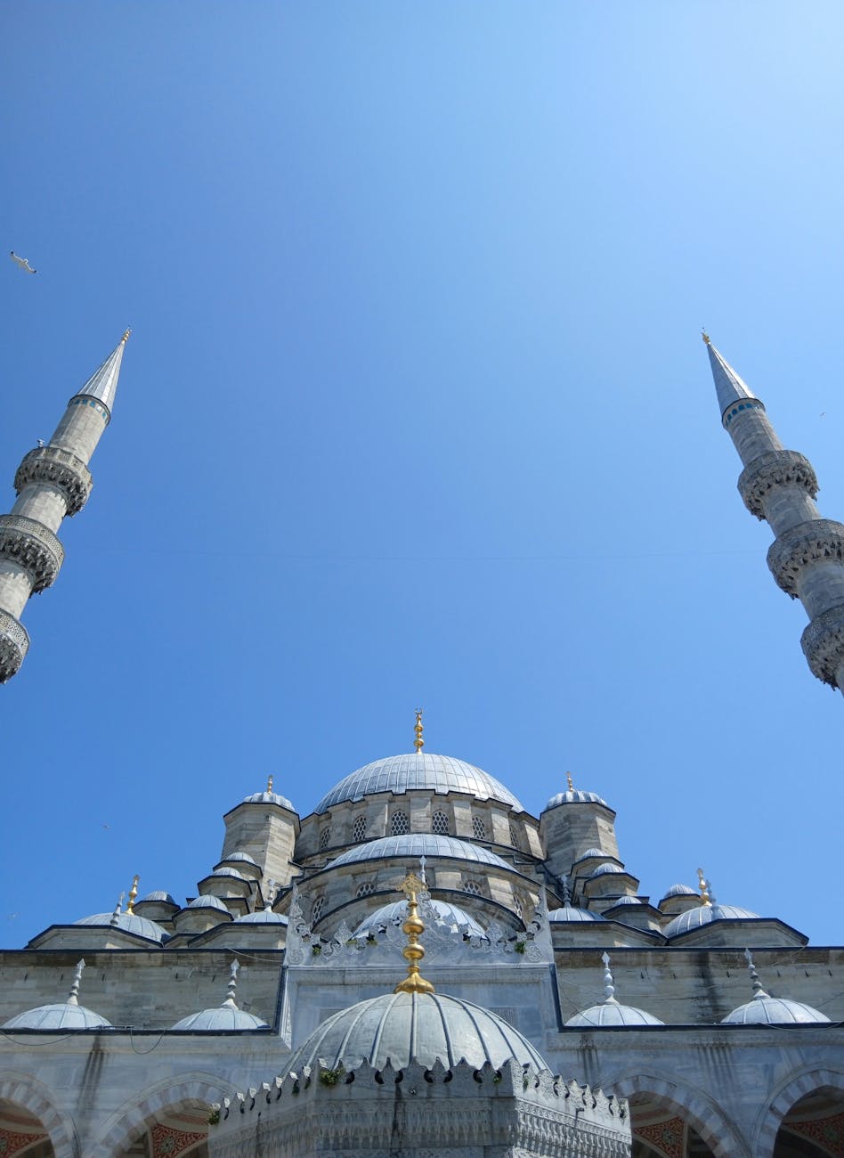 블루 모스크 갤러리 이미지