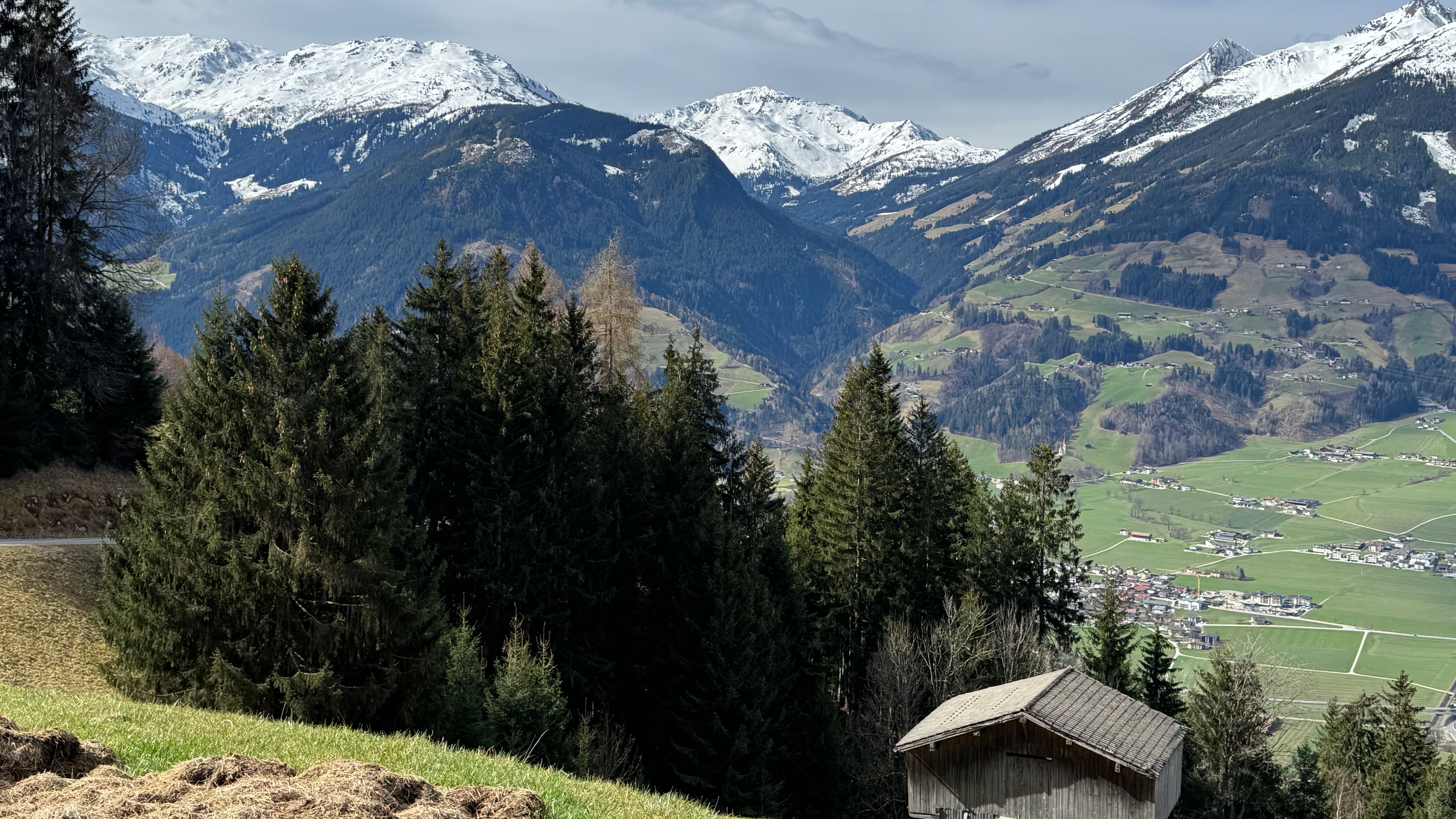 Tiroler Speck i alm