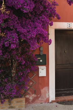 A vibrant doorway in Martigues, France adorned with blooming purple bougainvillea.